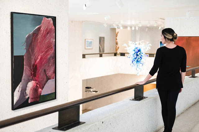 Art Museum of South Texas